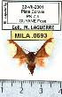  ( - MILA 0693)  @12 [ ] Copyright (2010) Unspecified Research Collection of Michel Laguerre