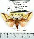  ( - MILA 0719)  @13 [ ] Copyright (2010) Unspecified Research Collection of Michel Laguerre