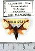  ( - MILA 0731)  @12 [ ] Copyright (2010) Unspecified Research Collection of Michel Laguerre