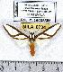  ( - MILA 0734)  @14 [ ] Copyright (2010) Unspecified Research Collection of Michel Laguerre