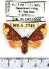  ( - MILA 0741)  @12 [ ] Copyright (2010) Unspecified Research Collection of Michel Laguerre