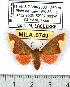  ( - MILA 0749)  @13 [ ] Copyright (2010) Unspecified Research Collection of Michel Laguerre