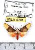  ( - MILA 0781)  @14 [ ] Copyright (2010) Unspecified Research Collection of Michel Laguerre