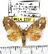  ( - MILA 0787)  @13 [ ] Copyright (2010) Unspecified Research Collection of Michel Laguerre