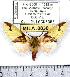  ( - MILA 0830)  @13 [ ] Copyright (2010) Unspecified Research Collection of Michel Laguerre