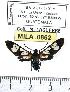  ( - MILA 0862)  @13 [ ] Copyright (2010) Unspecified Research Collection of Michel Laguerre