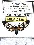 ( - MILA 0886)  @13 [ ] Copyright (2010) Unspecified Research Collection of Michel Laguerre