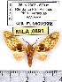  ( - MILA 0891)  @11 [ ] Copyright (2010) Unspecified Research Collection of Michel Laguerre