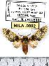  ( - MILA 0892)  @13 [ ] Copyright (2010) Unspecified Research Collection of Michel Laguerre