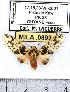  ( - MILA 0893)  @13 [ ] Copyright (2010) Unspecified Research Collection of Michel Laguerre
