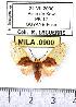  ( - MILA 0900)  @11 [ ] Copyright (2010) Unspecified Research Collection of Michel Laguerre
