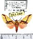  ( - MILA 0941)  @14 [ ] Copyright (2010) Unspecified Research Collection of Michel Laguerre