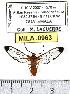  ( - MILA 0963)  @13 [ ] Copyright (2010) Unspecified Research Collection of Michel Laguerre
