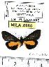  ( - MILA 0985)  @12 [ ] Copyright (2010) Unspecified Research Collection of Michel Laguerre