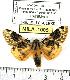  ( - MILA 1005)  @13 [ ] Copyright (2010) Unspecified Research Collection of Michel Laguerre