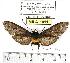  ( - MILA 1011)  @12 [ ] Copyright (2010) Unspecified Research Collection of Michel Laguerre