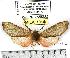  ( - MILA 1014)  @12 [ ] Copyright (2010) Unspecified Research Collection of Michel Laguerre
