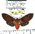  ( - MILA 1021)  @14 [ ] Copyright (2010) Unspecified Research Collection of Michel Laguerre
