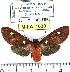  ( - MILA 1030)  @14 [ ] Copyright (2010) Unspecified Research Collection of Michel Laguerre