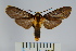  ( - BEVI0836)  @14 [ ] Copyright (2010) Unspecified The Research Collection of Benoit Vincent