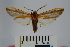  ( - BEVI0850)  @12 [ ] Copyright (2010) Unspecified The Research Collection of Benoit Vincent