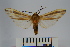  ( - BEVI0851)  @13 [ ] Copyright (2010) Unspecified The Research Collection of Benoit Vincent