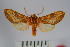  ( - BEVI0868)  @13 [ ] Copyright (2010) Unspecified The Research Collection of Benoit Vincent