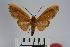  ( - BEVI0884)  @14 [ ] Copyright (2010) Unspecified The Research Collection of Benoit Vincent