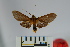 ( - BEVI0929)  @13 [ ] Copyright (2010) Unspecified The Research Collection of Benoit Vincent