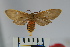  ( - BEVI0934)  @14 [ ] Copyright (2010) Unspecified The Research Collection of Benoit Vincent
