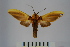  ( - BEVI0978)  @13 [ ] Copyright (2010) Unspecified The Research Collection of Benoit Vincent
