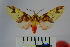  ( - BEVI0988)  @14 [ ] Copyright (2010) Unspecified The Research Collection of Benoit Vincent