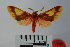  ( - BEVI0996)  @14 [ ] Copyright (2010) Unspecified The Research Collection of Benoit Vincent