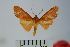  ( - BEVI1009)  @14 [ ] Copyright (2010) Unspecified The Research Collection of Benoit Vincent