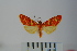 ( - BEVI1015)  @14 [ ] Copyright (2010) Unspecified The Research Collection of Benoit Vincent