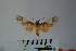  ( - BEVI1025)  @13 [ ] Copyright (2010) Unspecified The Research Collection of Benoit Vincent