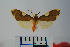  ( - BEVI1026)  @11 [ ] Copyright (2010) Unspecified The Research Collection of Benoit Vincent