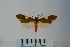  ( - BEVI1027)  @13 [ ] Copyright (2010) Unspecified The Research Collection of Benoit Vincent