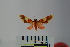 ( - BEVI1034)  @12 [ ] Copyright (2010) Unspecified The Research Collection of Benoit Vincent