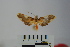  ( - BEVI1036)  @12 [ ] Copyright (2010) Unspecified The Research Collection of Benoit Vincent