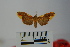  ( - BEVI1038)  @12 [ ] Copyright (2010) Unspecified The Research Collection of Benoit Vincent