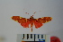 ( - BEVI1064)  @13 [ ] Copyright (2010) Unspecified The Research Collection of Benoit Vincent