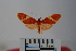  ( - BEVI1066)  @13 [ ] Copyright (2010) Unspecified The Research Collection of Benoit Vincent