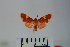  ( - BEVI1070)  @13 [ ] Copyright (2010) Unspecified The Research Collection of Benoit Vincent