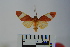  ( - BEVI1077)  @13 [ ] Copyright (2010) Unspecified The Research Collection of Benoit Vincent