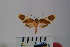  ( - BEVI1080)  @13 [ ] Copyright (2010) Unspecified The Research Collection of Benoit Vincent