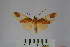  ( - BEVI1098)  @13 [ ] Copyright (2010) Unspecified The Research Collection of Benoit Vincent