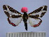  ( - BEVI1144)  @13 [ ] No Rights Reserved (2010) Benoit Vincent Research Collection of Benoit Vincent