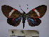  ( - BEVI1149)  @14 [ ] No Rights Reserved (2010) Benoit Vincent Research Collection of Benoit Vincent