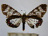  ( - BEVI1267)  @13 [ ] No Rights Reserved (2010) Benoit Vincent Research Institution of Benoit Vincent